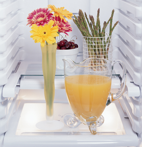 Integrated shelf support system