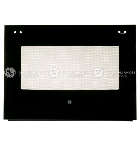 DOOR GLASS AND TRIM ASSEMBLY