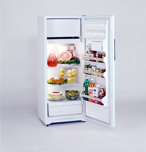 GE® 9.6 Cu. Ft. Manual Defrost Refrigerator