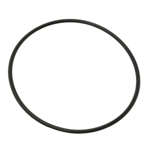 MOTOR AND PUMP ROTOR O RING