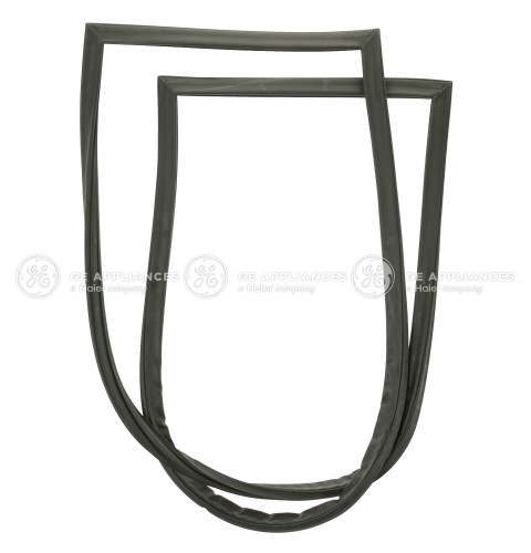 GASKET DOOR FF DG 20'