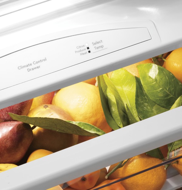 GE Profile™ 48" Smart Built-In Side-by-Side Refrigerator with Dispenser|^|PSB48YSNSS