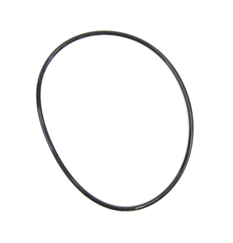 Water filter O-ring