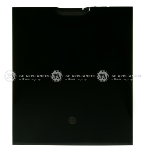 SERVICE OUTER DOOR ASSEMBLY - BLACK