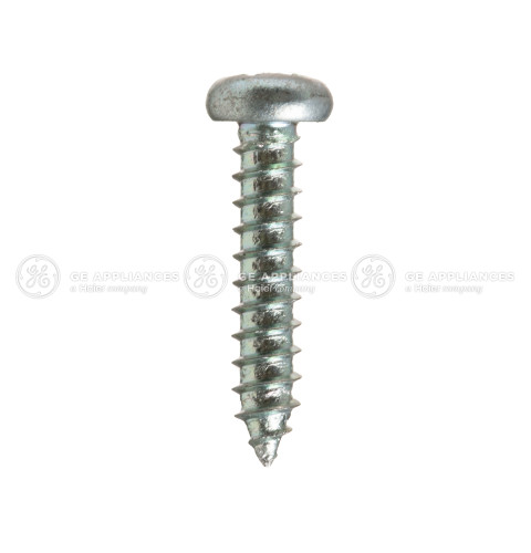 SCREW  ST3.9X19 PA