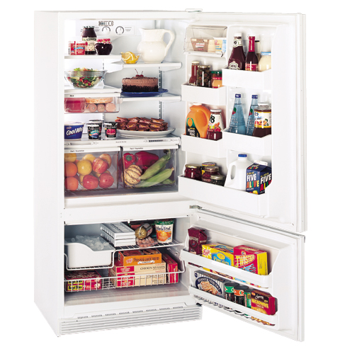 GE® 17.6 Cu. Ft. Bottom-Freezer Refrigerator with Freezer Compartment Door