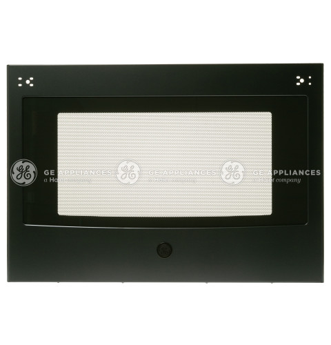 OUTER DOOR PANEL ASSEMBLY LOWER DS