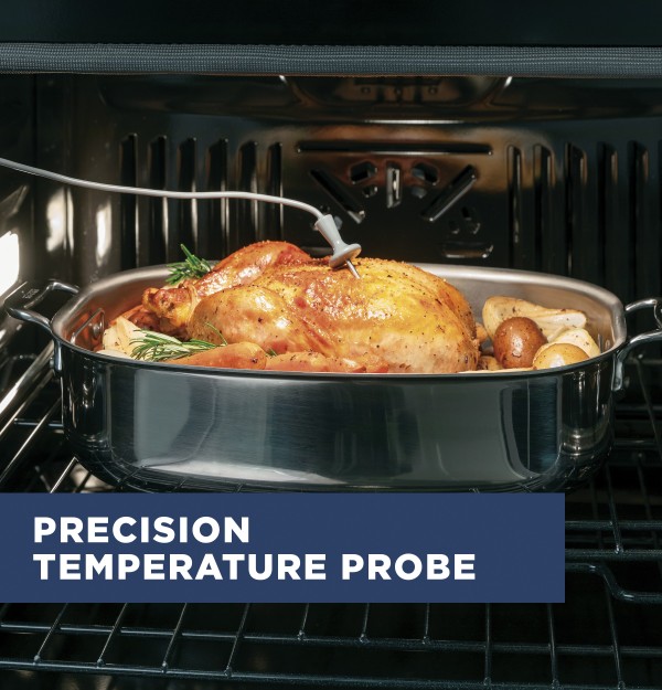 Precision temperature probe
