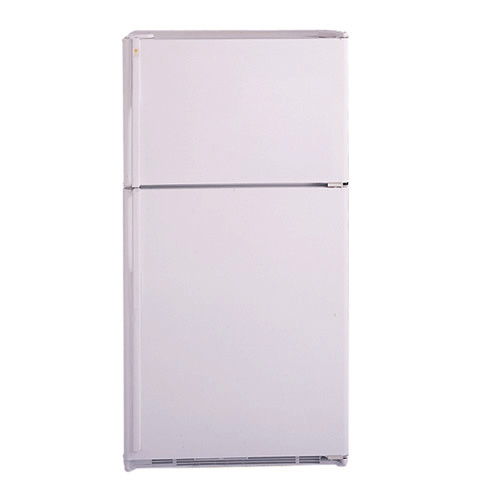 GE Profile Performance™ 21.9 Cu. Ft. Top-Freezer No-Frost CustomStyle™ Refrigerator