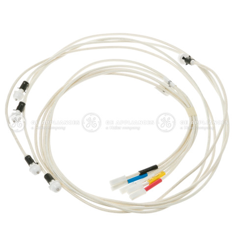 ELECTRODES & HARNESS HV