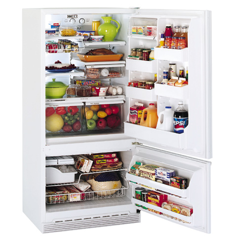 GE Profile™ 17.6 Cu. Ft. Bottom-Freezer Refrigerator with Freezer Compartment Door