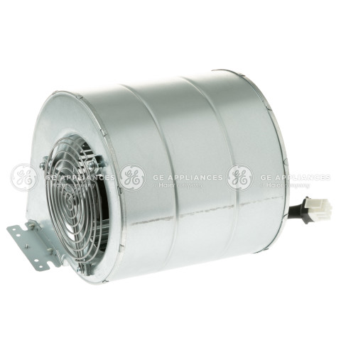 BLOWER MOTOR ASSEMBLY