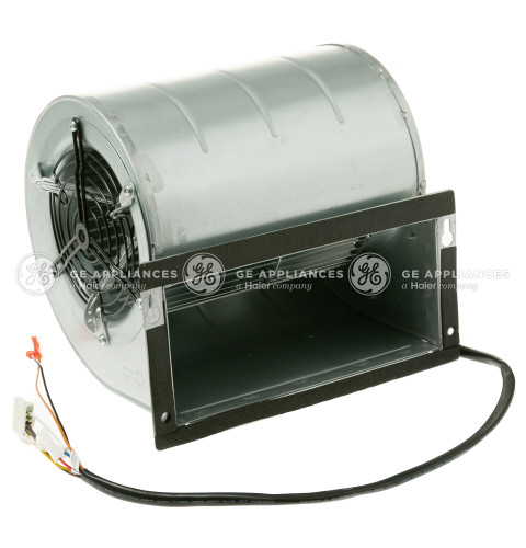 BLOWER MOTOR ASSEMBLY