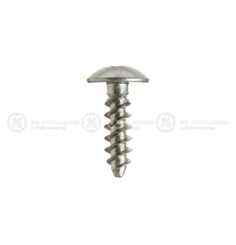 SPECIAL SCREW