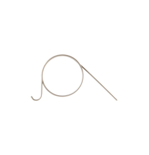 Dishwasher Detergent Door Spring