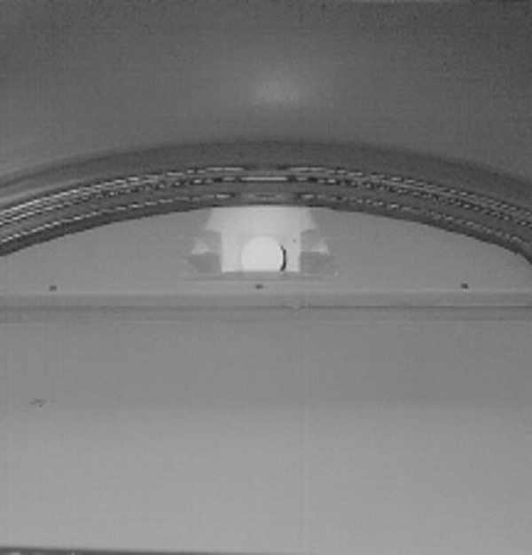 Interior dryer light