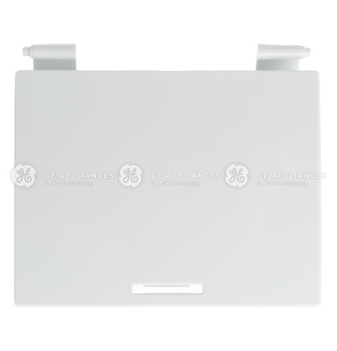 WASHING MACHINE FILTER DOOR