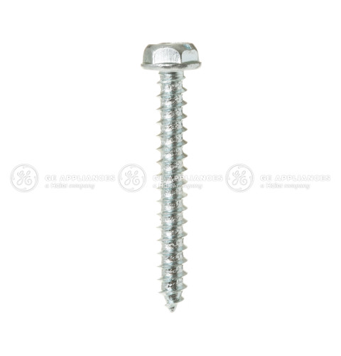 SPECIAL SCREW