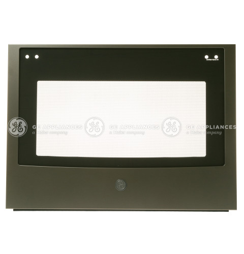 DOOR GLASS AND TRIM ASSEMBLY