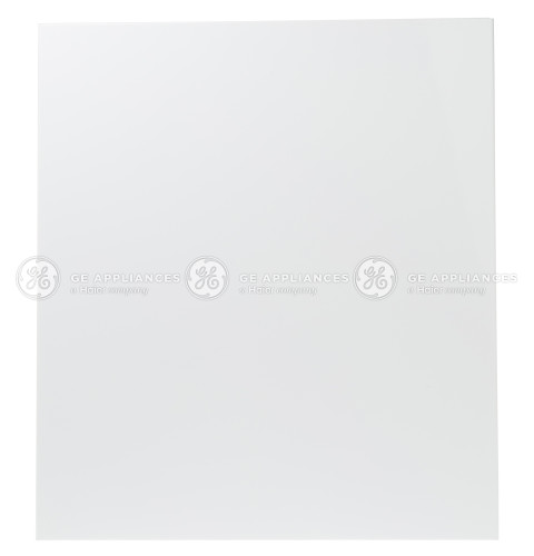 WHITE OUTER SERVICE DOOR PANEL