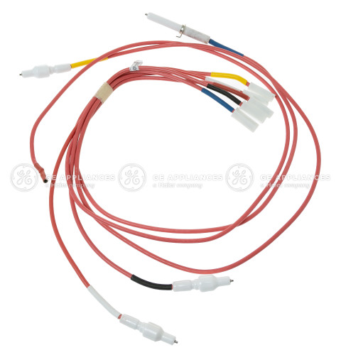 ELECTRODES & HARNESS H.V