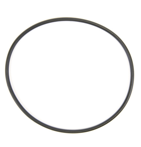 GE water filter  O-ring