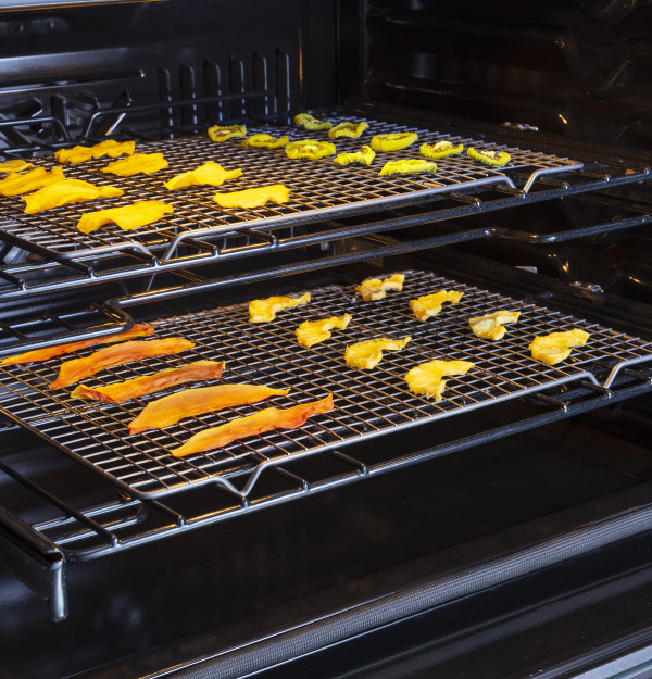 Food Dehydrator