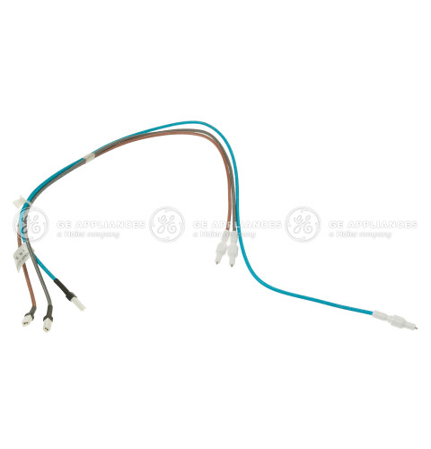 IGNITERS & HARNESS ASSEMBLY