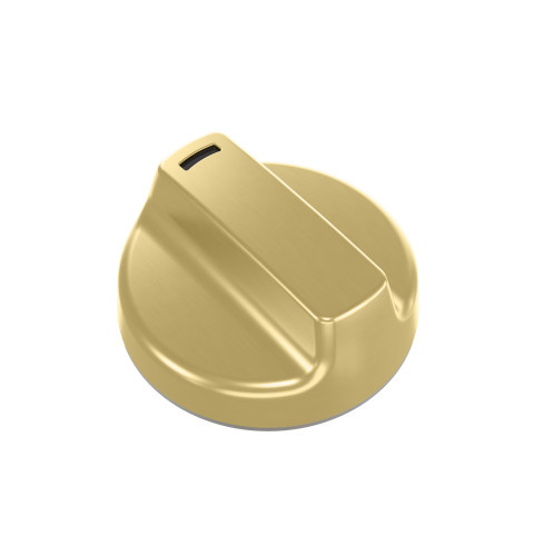 RANGE CONTROL KNOB - BRUSHED BRASS