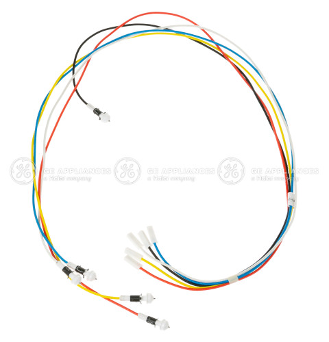 ELECTRODES & HARNESS H.