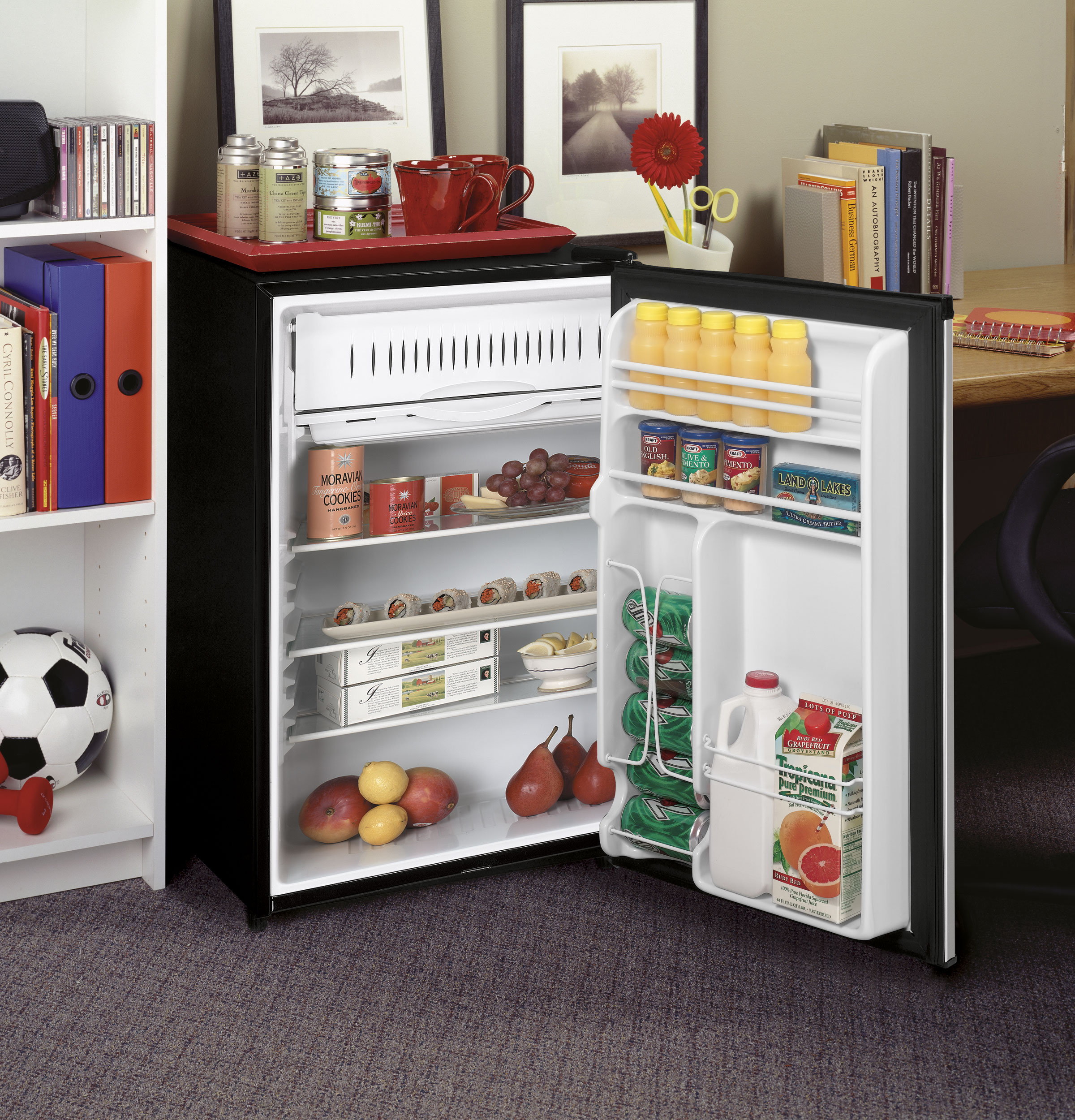 GE® 4.3 Cu. Ft. Compact Refrigerator