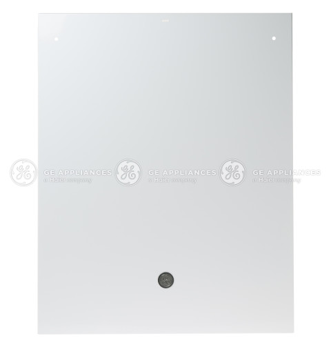 WHITE OUTER DOOR PANEL