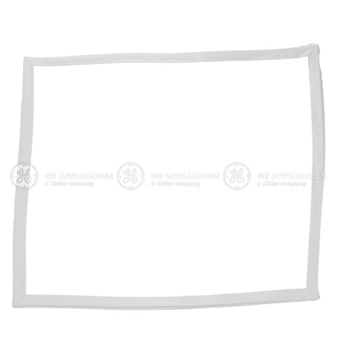 GASKET DOOR FZ WHITE