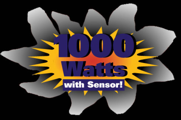 Powerful 1000 Watts©