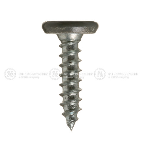 GRAY ICE BOX DOOR HINGE SCREW