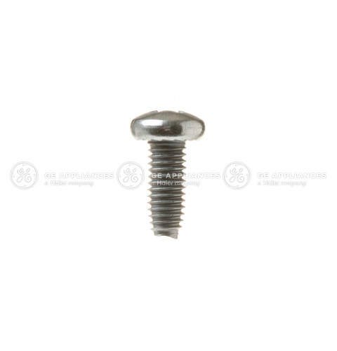 DOOR HINGE SCREW