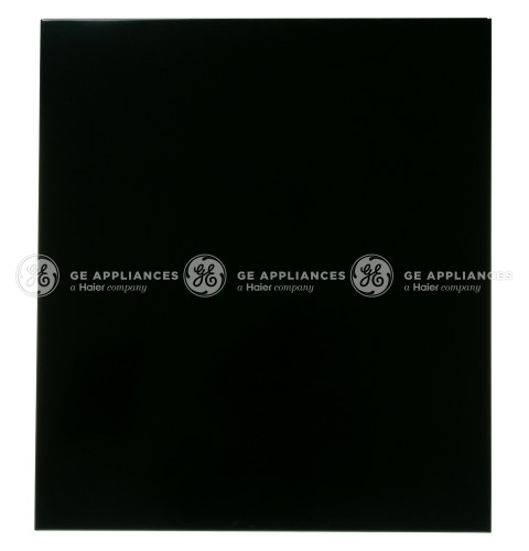 BLACK OUTER SERVICE DOOR PANEL